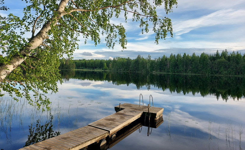 suomenkarjan lehmät